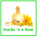 Ducksnarowlogosmaller-1