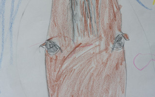 The Horse with Half Glasses
