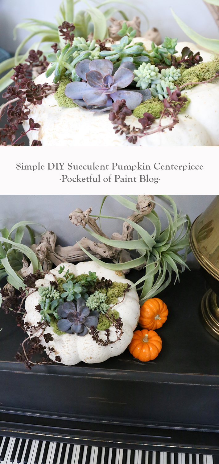 diy-pumpkin-succulent-centerpiece-pocketful-of-paint-blog