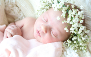 Making a Baby’s Breath Crown